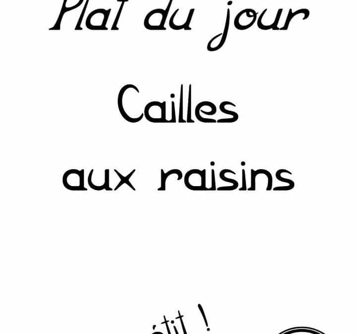 Plat du jour : mercredi 17 juillet